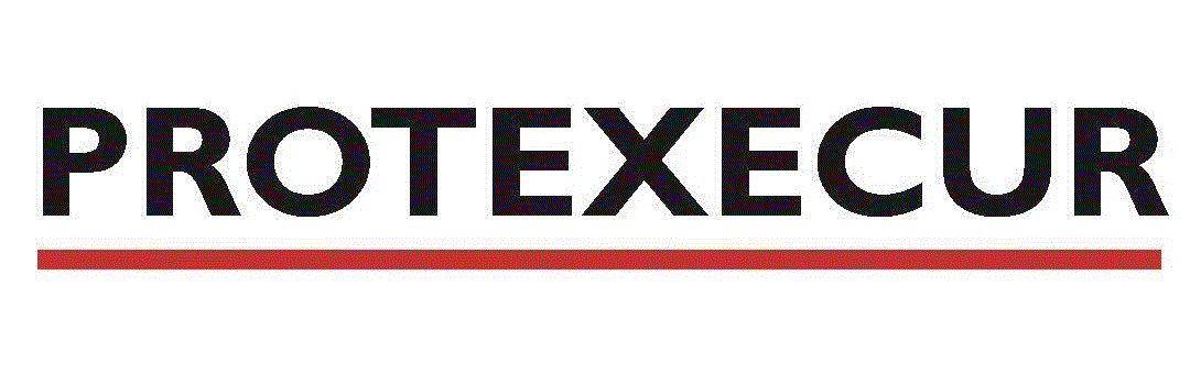 PROTEXECUR LTD