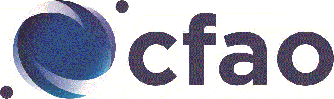 CFAO SERVICES LTD