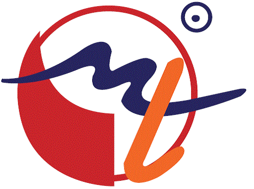 CMTI DISTRIBUTION LTD