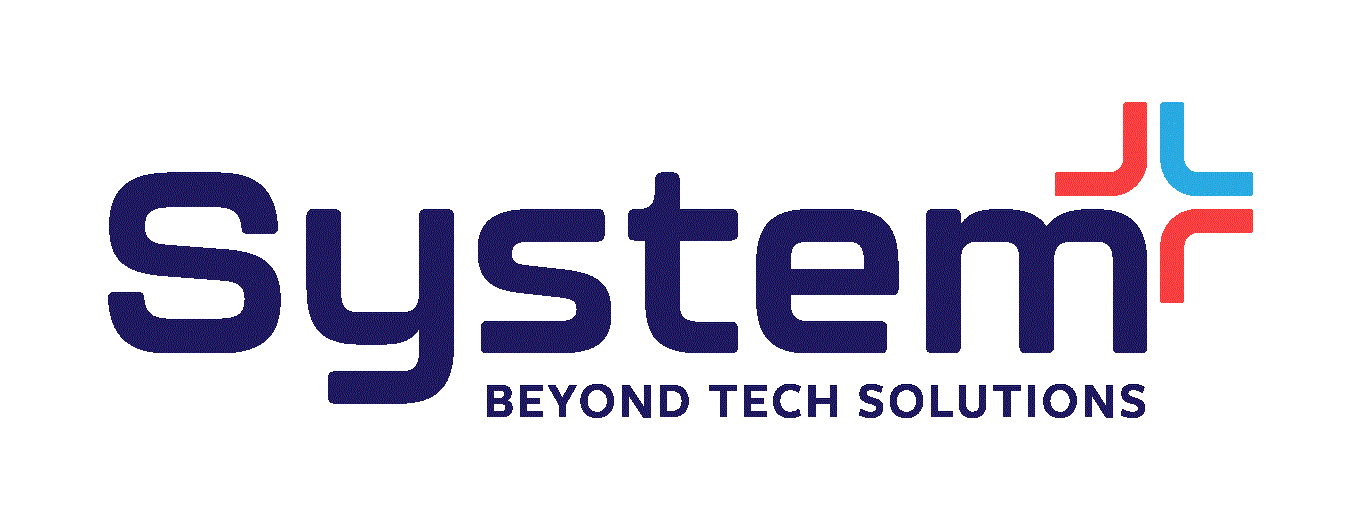 System Plus Pioneer Ltd