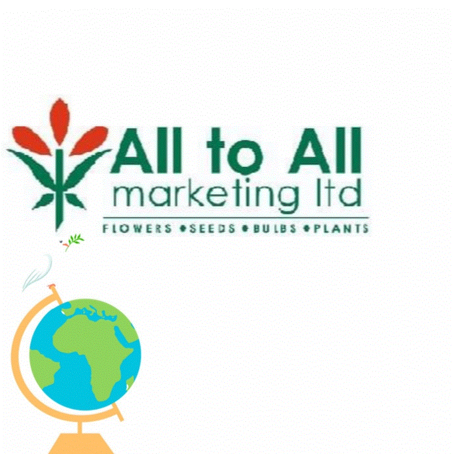 All To All Marketing Ltd