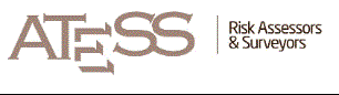 ATESS RISK ASSESSORS AND SURVEYORS CO. LTD