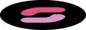 She Recruits Pty Ltd