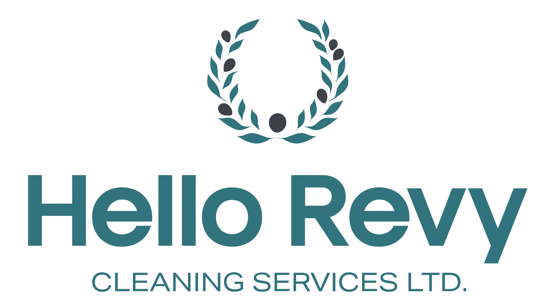 Hello Revy Cleaning Services Ltd