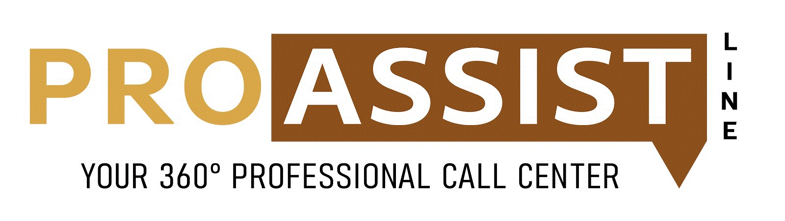 ASSISTANCE PROFESSIONNEL 360