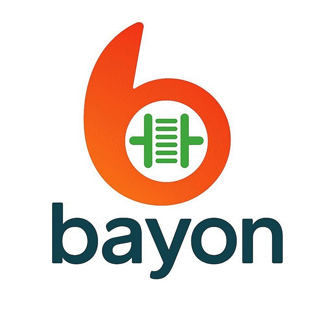 Bayon (Mauritius)Limited