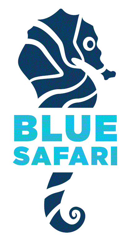 Blue Safari Leisure Ltd