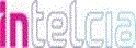 INTELCIA (MAURICE) LTEE
